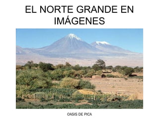 EL NORTE GRANDE EN
     IMÁGENES




      OASIS DE PICA
 