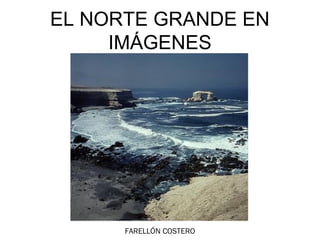 EL NORTE GRANDE EN
     IMÁGENES




      FARELLÓN COSTERO
 