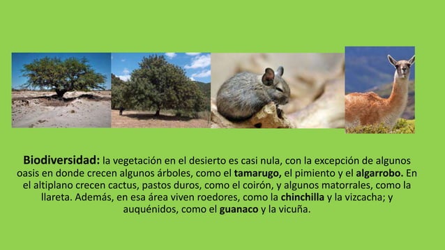 Zonas naturales de chile......norte grande | PPTX