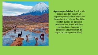 Zonas naturales de chile......norte grande | PPTX