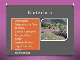 Norte chico
O Vegetación:
O Adaptada a la falta
de agua.
O Cactus y arbustos
O Parque «Fray
Jorge»
O Desierto florido
O Hay ríos en los
valles
transversales.
 