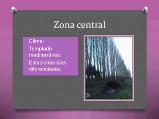 Zona central
O Clima:
O Templado
mediterráneo.
O Estaciones bien
diferenciadas.
 