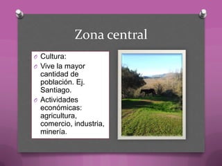 Zona central
O Cultura:
O Vive la mayor
cantidad de
población. Ej.
Santiago.
O Actividades
económicas:
agricultura,
comercio, industria,
minería.
 