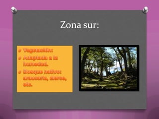 Zona sur:
 