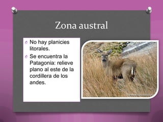 Zona austral
O No hay planicies
litorales.
O Se encuentra la
Patagonia: relieve
plano al este de la
cordillera de los
andes.
 
