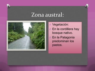 Zona austral:
O Vegetación:
O En la cordillera hay
bosque nativo.
O En la Patagonia
predominan los
pastos.
 