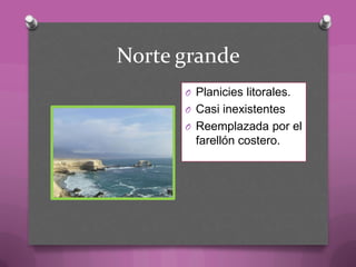 Norte grande
O Planicies litorales.
O Casi inexistentes
O Reemplazada por el
farellón costero.
 