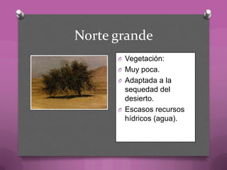 Norte grande
O Vegetación:
O Muy poca.
O Adaptada a la
sequedad del
desierto.
O Escasos recursos
hídricos (agua).
 