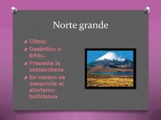 Norte grande
 