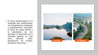 • El clima predominante es el
templado tipo mediterráneo,
con temperaturas moderadas
y precipitaciones invernales.
El clima, los suelos fértiles y
la abundancia de ríos
permiten el desarrollo de la
actividad agrícola. En esta
zona abundan viñas,
plantaciones de frutales,
hortalizas, entre otros.
 
