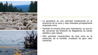 • La ganadería es una actividad fundamental en la
economía de la zona y está orientada principalmente
al ganado ovino.
• También la minería tiene gran importancia, ya que en
las cercanías del Estrecho de Magallanes se extrae
petróleo y gas natural.
• Otra actividad característica de esta zona es la
extracción de la centolla, crustáceo de gran valor
comercial.
 