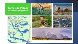 Zonas Naturales de Chile 6°.pptx