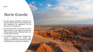 Norte Grande
• En este espacio geográfico predomina la
vida del desierto, por lo que el paisaje está
casi desprovisto de vegetación. Allí las
lluvias casi no se observan.
• En esta zona existe río Loa, que es el más
largo de Chile y solo algunas especies de
plantas especialmente adaptadas para este
mundo logran subsistir.
• La Cordillera de los Andes se muestra alta,
maciza y volcánica, con alturas que
superan los 6.000 metros de altitud. Sobre
los 4000 metros se presenta el altiplano.
 