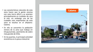 • Las características naturales de esta
zona hacen que la gente conviva
con esta tierra difícil y se asienten
principalmente en ciudades de cara
al mar, sin embargo una de las
ciudades más importantes de esta
zona se localiza en el altiplano:
Calama.
• En ella se concentra la población
minera de la zona que trabaja en
Chuquicamata, yacimiento de cobre
más grande de Chile.
• En los puertos, la principal actividad
económica es la pesca industrial.
 
