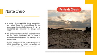 Norte Chico
• El Norte Chico se extiende desde la Quebrada
del Salado hasta las proximidades del río
Aconcagua. Comprende las regiones III y IV y se
caracteriza por presentar un paisaje semi
árido.
• Las precipitaciones aumentan y se concentran
en los meses invernales. En la costa la
humedad es mayor debido a la presencia de la
camanchaca.
• En este paisaje semiárido, en que predomina el
clima estepárico, se genera un paisaje de
contraste entre sus diferentes ambientes.
 