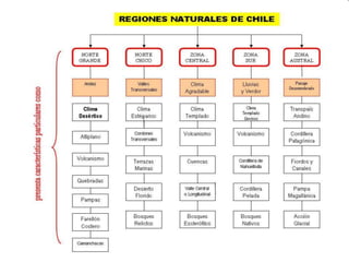 Zonas naturales de Chile para Quinto básico | PPTX