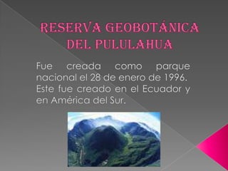 RESERVA GEOBOTÁNICA DEL PULULAHUA Fue creada como parque nacional el 28 de enero de 1996. Este fue creado en el Ecuador y en América del Sur. 