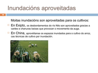 Inundacións aproveitadas
10


         Moitas inundacións son aproveitadas para os cultivos:
        En Exipto, os desbordamentos do río Nilo son aproveitados gracias a
         canles e chanuras baixas que provocan o movemento da auga.
        En China, aprovéitanse os espazos inundados para o cultivo do arroz,
         cas técnicas de cultivo por inundación.
 