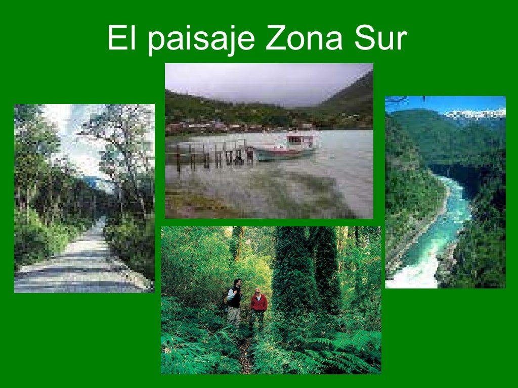 Zona sur