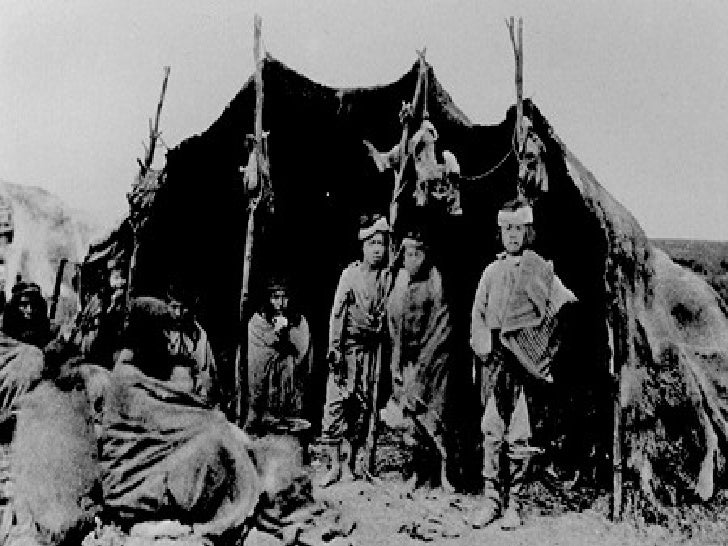 Zona Sur Y Fueguinos