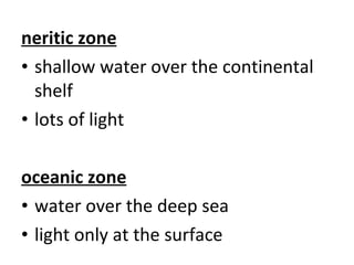 neritic zone shallow water over the continental shelf lots of light oceanic zone water over the deep sea light only at the surface 