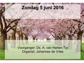 Voorganger: Ds. A. van Harten-Tip
Organist: Johannes de Vries
Zondag 5 juni 2016
 