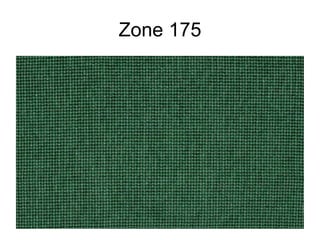 Zone 175 