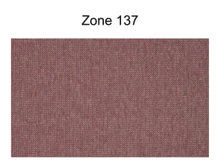 Zone 137 