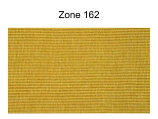 Zone 162 