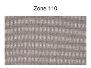 Zone 110 