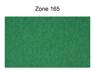 Zone 165 