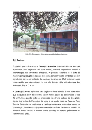 37




                Foto 16 – Escola com sistema de captação da água da chuva.


6.2. Caatinga


O padrão predominante é a Caatinga Arbustiva, caracterizada na área por
apresentar uma vegetação de porte médio, bastante degenerada devido a
intensificação das atividades antrópicas. A pecuária extensiva e o corte da
madeira para produção de estacas e de lenha para carvão são atividades que têm
contribuído com a devastação da caatinga, tornando-se difícil encontrar áreas
neste padrão que não estejam ou que não tenham sido utilizadas para tais
atividades (Fotos 17 e 18).


A Caatinga Arbórea apresenta uma vegetação mais fechada e com porte maior
que a arbustiva, além de encontrar-se em melhor estado de conservação (Fotos
19 e 20). Esse padrão pode ser encontrado no extremo sudeste da área piloto,
dentro dos limites do Patrimônio da Igreja e na porção oeste da Fazenda Poço
Escuro. Estes são os locais onde a caatinga encontra-se em melhor estado de
preservação, muito embora já possam ser notados sinais de corte da madeira na
Fazenda Poço Escuro e animais soltos (bodes) no terreno pertencente ao
Patrimônio da Igreja.
 