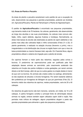 40



6.3. Áreas de Plantio e Pecuária


As áreas de plantio e pecuária caracterizam outro padrão de uso e ocupação do
solo, desenvolvido nas pequenas e grandes propriedades, podendo ser divididas
em: Agricultura/Pecuária, Plantio de Palma/Capim e Plantio de Algaroba/Capim.


O padrão de Agricultura/Pecuária é encontrado nas pequenas propriedades,
cujo tamanho médio é de 70 hectares. As culturas, geralmente, são desenvolvidas
ao longo dos aluviões e nas suas proximidades. As culturas mais comuns são:
feijão, milho, capim elefante, algumas fruteiras e hortaliças. Normalmente, as
áreas mais baixas do aluvião são destinadas ao plantio de capim (elefante) e nas
partes mais altas são cultivados feijão e milho consorciados (Fotos 21 e 22). O
plantio geralmente, é realizado na estação chuvosa (fevereiro a junho), mas a
irregularidade e a má distribuição das chuvas na região fazem com que o risco de
baixa produtividade ou mesmo fracasso total, seja alto. Em Fazenda Nova, alguns
proprietários utilizam o sistema de irrigação para o plantio de tomate.


Os caprinos formam a maior parte dos rebanhos, seguidos pelos ovinos e
bovinos. O predomínio de caprinos/ovinos pode ser justificado pela fácil
adaptação desses animais ao semi-árido, pelo crescimento acelerado dos
rebanhos em função dos partos múltiplos e curtas gestações, por serem animais
dóceis e de fácil manejo, além de que os custos gastos na criação destes é menor
do que com os bovinos. Os animais são criados soltos na caatinga, alimentando-
se das espécies de arbustos e árvores forrageiras. Por serem bastante seletivos
têm preferência por forrageiras de folhagem do que por gramíneas (Foto 23). O
tamanho médio dos rebanhos de caprinos, nestas propriedades, varia de 20 a 40
cabeças.


Os rebanhos de gado bovino são bem menores, variando, em média, de 10 a 20
cabeças. A palma forrageira constitui a principal fonte de alimentação desses
animais na região, embora também sejam utilizados capim búfel e ração. Nos
períodos mais críticos de estiagem, alguns proprietários alugam o pasto das
grandes propriedades para alimentar o gado dos pequenos proprietários.
 