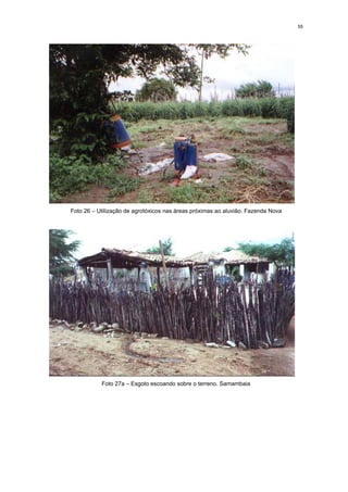55




Foto 26 – Utilização de agrotóxicos nas áreas próximas ao aluvião. Fazenda Nova




           Foto 27a – Esgoto escoando sobre o terreno. Samambaia
 