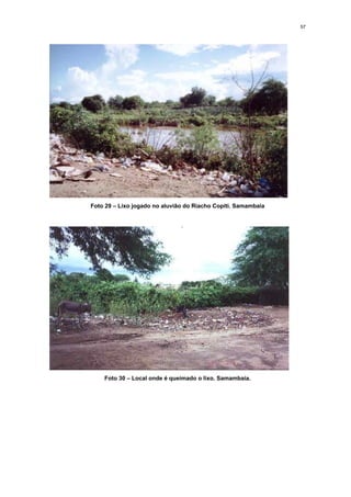 57




Foto 29 – Lixo jogado no aluvião do Riacho Copiti. Samambaia




    Foto 30 – Local onde é queimado o lixo. Samambaia.
 