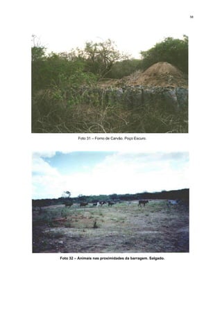 58




         Foto 31 – Forno de Carvão. Poço Escuro.




Foto 32 – Animais nas proximidades da barragem. Salgado.
 