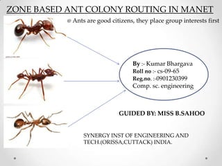 ZONE BASED ANT COLONY ROUTING IN MANET
           @ Ants are good citizens, they place group interests first




                                   By :- Kumar Bhargava
                                   Roll no :- cs-09-65
                                   Reg.no. :-0901230399
                                   Comp. sc. engineering



                              GUIDED BY: MISS B.SAHOO


                 SYNERGY INST OF ENGINEERING AND
                 TECH.(ORISSA,CUTTACK) INDIA.
 