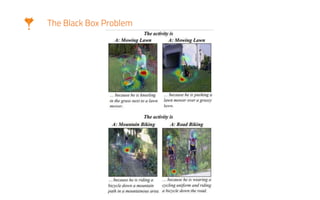 The Black Box Problem
 