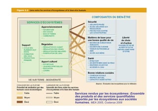 Services rendus par les écosystèmes: Ensemble
des produits et des services quantifiables
apportés par les écosystèmes aux sociétés
humaines. MEA 2005, Costanza 2008
 