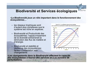 Biodiversité et Services écologiques
  •La Biodiversité joue un rôle important dans le fonctionnement des
  écosystèmes…

   – les réseaux trophiques sont
     d’autant plus complexes que le
     système est riche en espèces.
   – Biodiversité et Productivité des
     écosystèmes: l’appauvrissement
     de la diversité entrainerait la
     diminution des flux de matière et
     d’énergie.
    – Biodiversité et stabilité et
      résilience des écosystèmes:
      facteur d’adaptation aux
      changements
•Les changements dans la Biodiversité affectent la capacité
des écosystèmes à fournir des services et à se remettre de
perturbations.
 