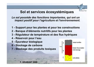 Sol et services écosystémiques
Le sol possède des fonctions importantes, qui ont un
  impact positif pour l’agriculture et l’environnement.

1 - Support pour les plantes et pour les constructions
2 - Banque d’éléments nutritifs pour les plantes
3 - Régulateur de température et des flux hydriques
4 - Réservoir pour l’eau
5 - Épurateur biologique
6 - Stockage de carbone
7 - Stockage des produits toxiques



      P. BRABANT 2009
 