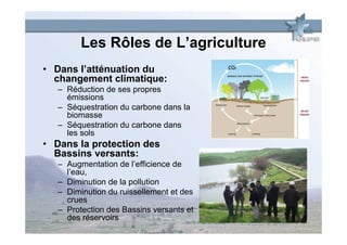 Les Rôles de L’agriculture
• Dans l’atténuation du
  changement climatique:
   – Réduction de ses propres
     émissions
   – Séquestration du carbone dans la
     biomasse
   – Séquestration du carbone dans
     les sols
• Dans la protection des
  Bassins versants:
   – Augmentation de l’efficience de
     l’eau,
   – Diminution de la pollution
   – Diminution du ruissellement et des
     crues
   – Protection des Bassins versants et
     des réservoirs
 