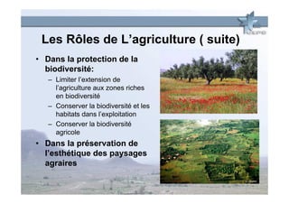 Les Rôles de L’agriculture ( suite)
• Dans la protection de la
  biodiversité:
   – Limiter l’extension de
     l’agriculture aux zones riches
     en biodiversité
   – Conserver la biodiversité et les
     habitats dans l’exploitation
   – Conserver la biodiversité
     agricole
• Dans la préservation de
  l’esthétique des paysages
  agraires
 