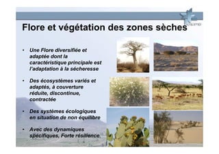 Flore et végétation des zones sèches

• Une Flore diversifiée et
  adaptée dont la
  caractéristique principale est
  l’adaptation à la sécheresse

• Des écosystèmes variés et
  adaptés, à couverture
  réduite, discontinue,
  contractée

• Des systèmes écologiques
  en situation de non équilibre

• Avec des dynamiques
  spécifiques, Forte résilience
 