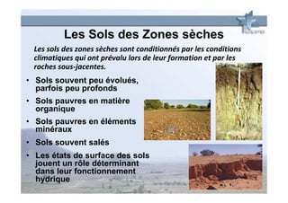 Les Sols des Zones sèches
 Les sols des zones sèches sont conditionnés par les conditions
 climatiques qui ont prévalu lors de leur formation et par les
 roches sous-jacentes.
• Sols souvent peu évolués,
  parfois peu profonds
• Sols pauvres en matière
  organique
• Sols pauvres en éléments
  minéraux
• Sols souvent salés
• Les états de surface des sols
  jouent un rôle déterminant
  dans leur fonctionnement
  hydrique
 