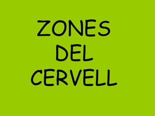 ZONES
  DEL
CERVELL
 