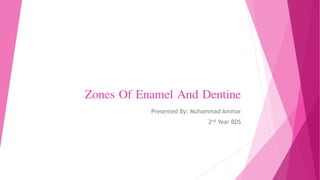 Zones Of Enamel And Dentine
Presented By: Muhammad Ammar
2nd Year BDS
 