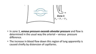 ZONES OF LUNG AND VENTILATION PERFUSION.pptx