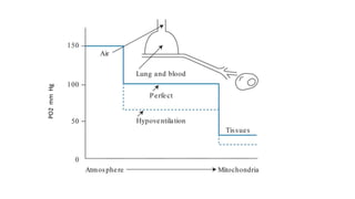 Spo2 Perfusion ZONES OF LUNG AND VENTILATION PERFUSION.pptx