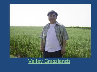 Valley Grasslands
 